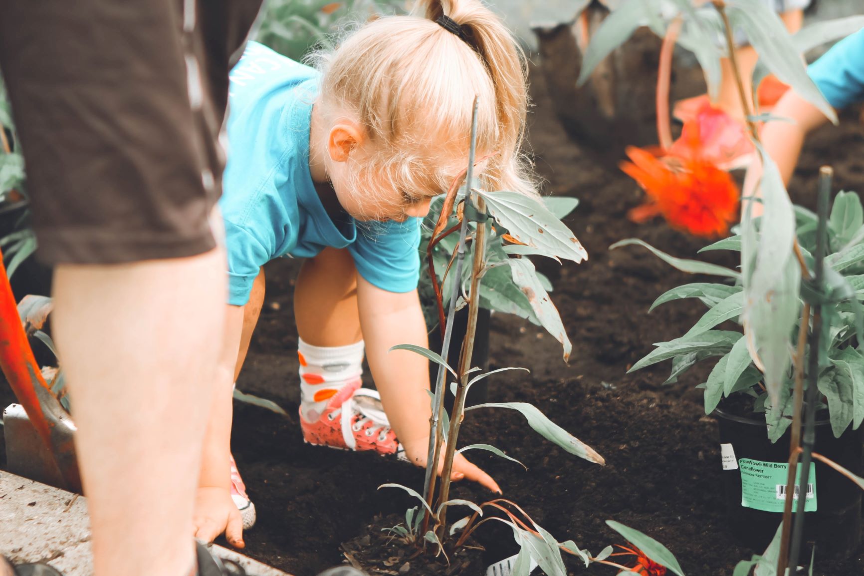 Small child in garden