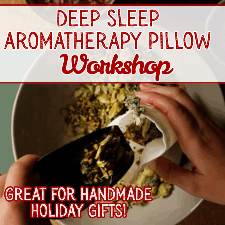 Read more about the article Workshop Full!