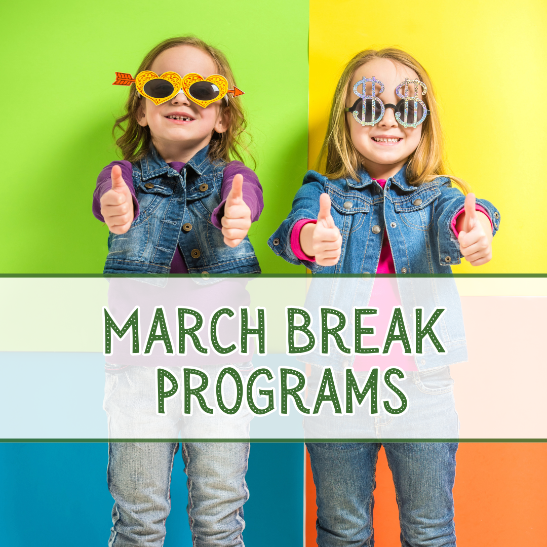 Read more about the article Check out our March Break Programs Here